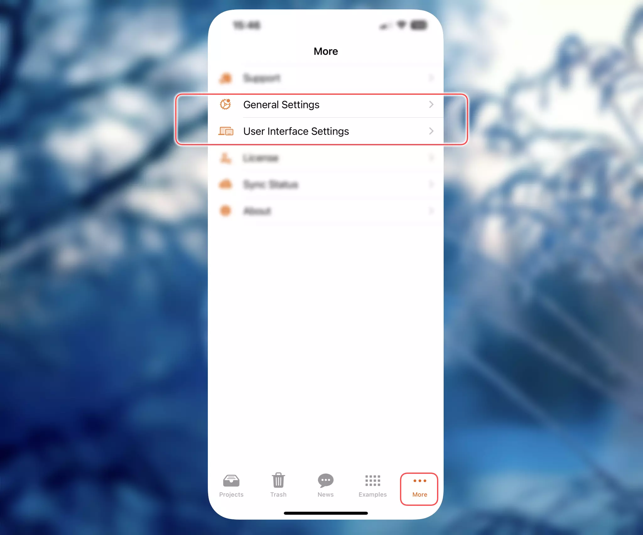 App settings on iPhone
